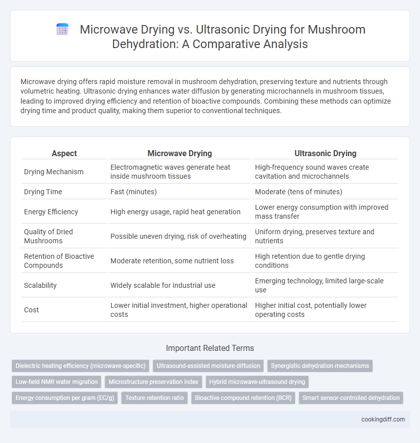 Microwave Drying vs. Ultrasonic Drying for Mushroom Dehydration: A Comparative Analysis