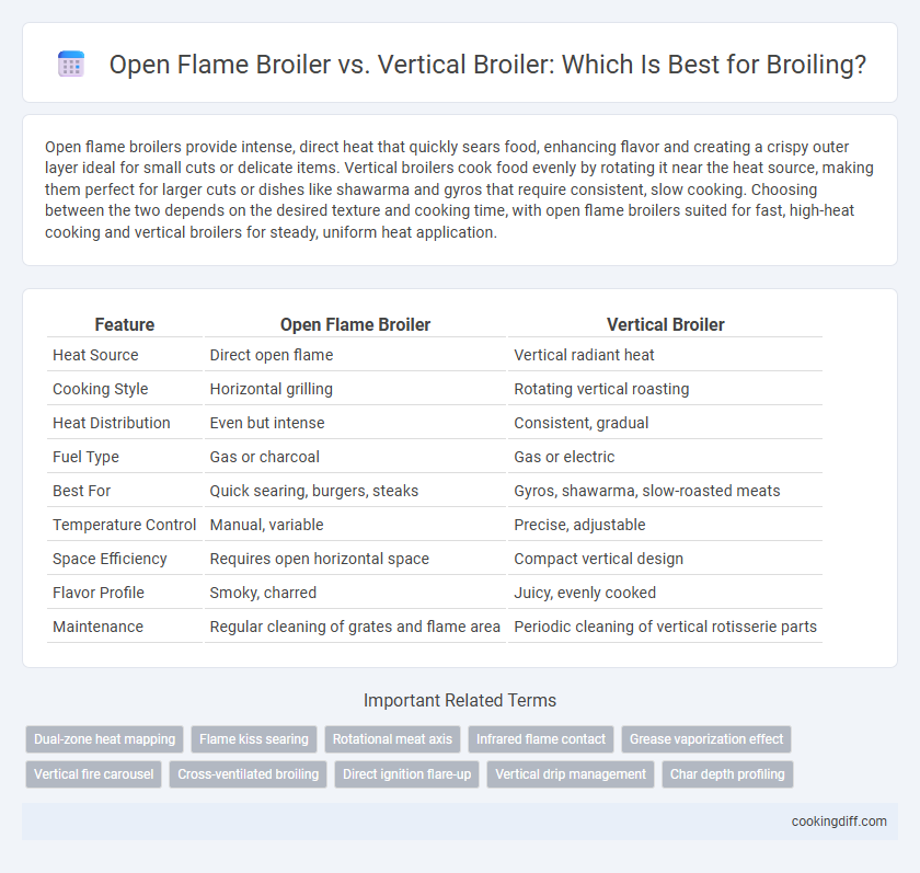 Open Flame Broiler vs. Vertical Broiler: Which Is Best for Broiling?