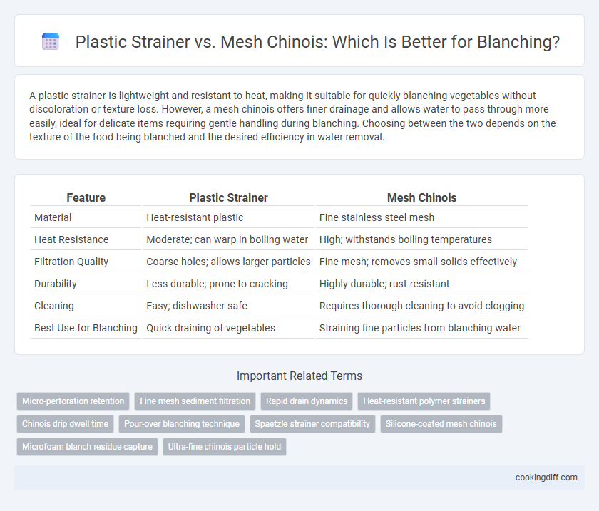 Plastic Strainer vs. Mesh Chinois: Which Is Better for Blanching?