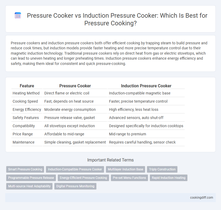 Pressure Cooker vs Induction Pressure Cooker: Which Is Best for Pressure Cooking?