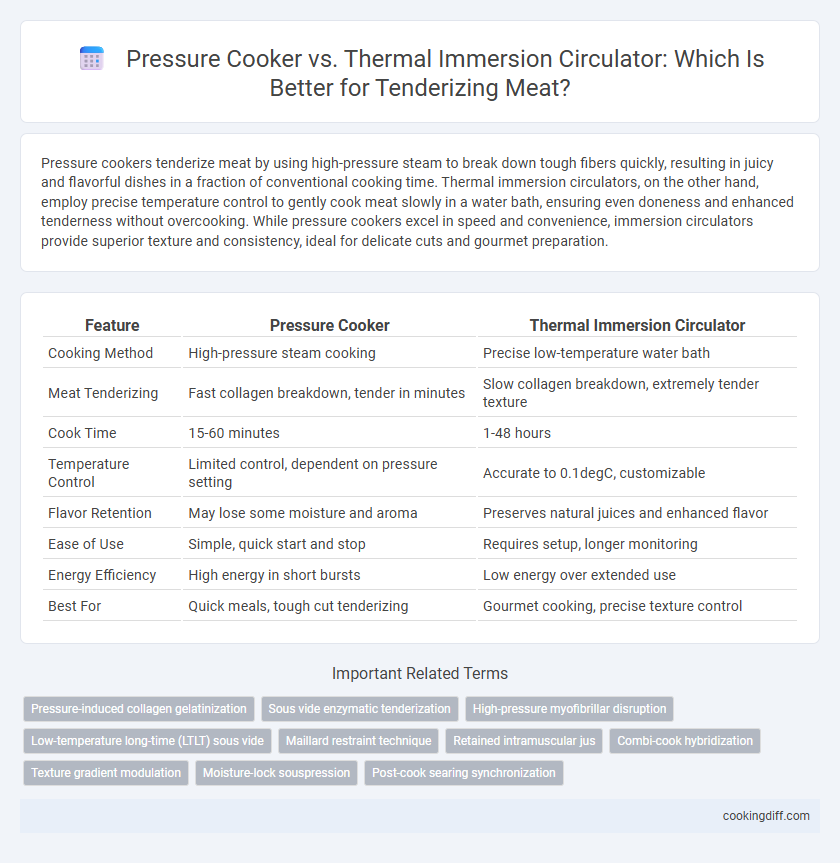 Pressure Cooker vs. Thermal Immersion Circulator: Which Is Better for Tenderizing Meat?