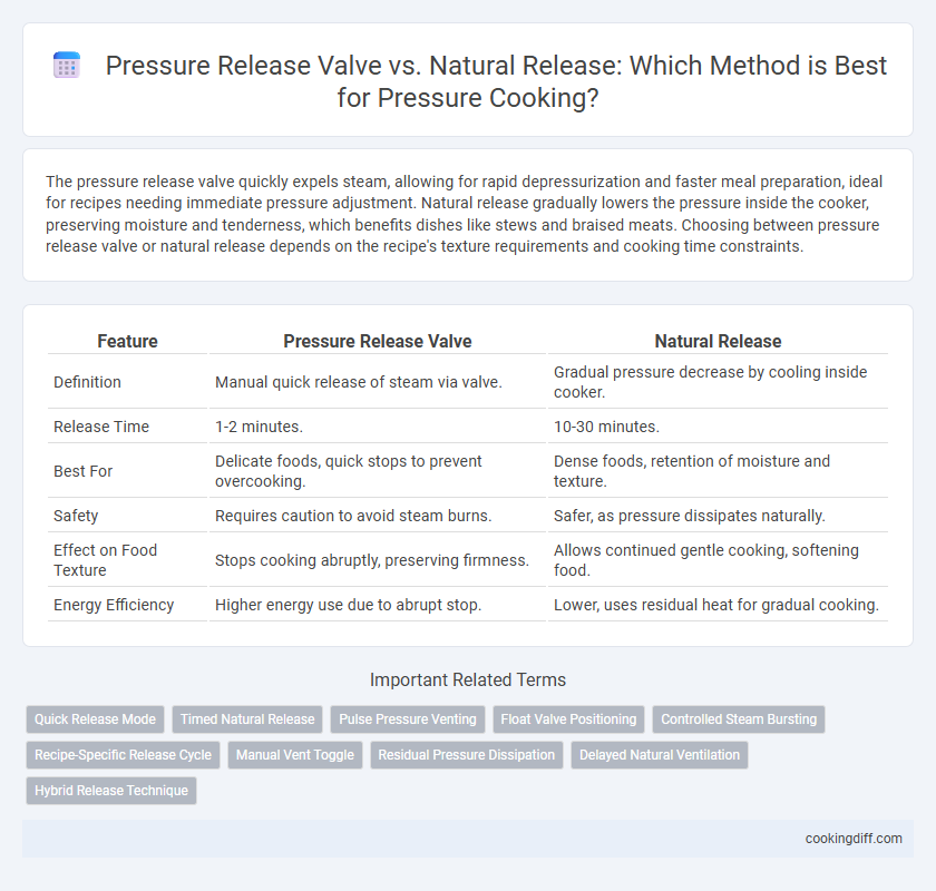 Pressure Release Valve vs. Natural Release: Which Method is Best for Pressure Cooking?