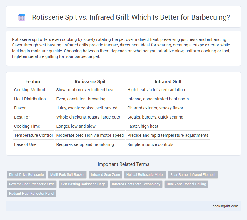 Rotisserie Spit vs. Infrared Grill: Which Is Better for Barbecuing?