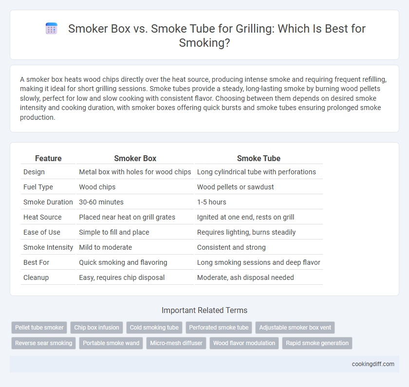 Smoker Box vs. Smoke Tube for Grilling: Which Is Best for Smoking?
