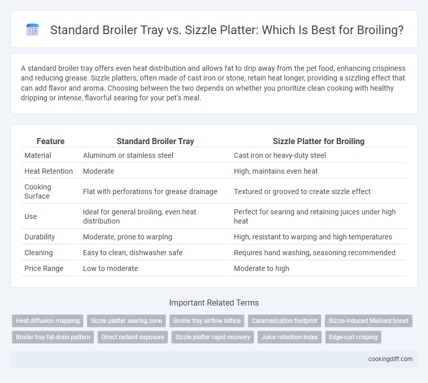 Standard Broiler Tray vs. Sizzle Platter: Which Is Best for Broiling?