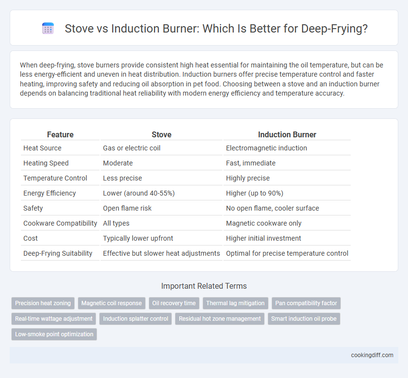 Stove vs Induction Burner: Which Is Better for Deep-Frying?