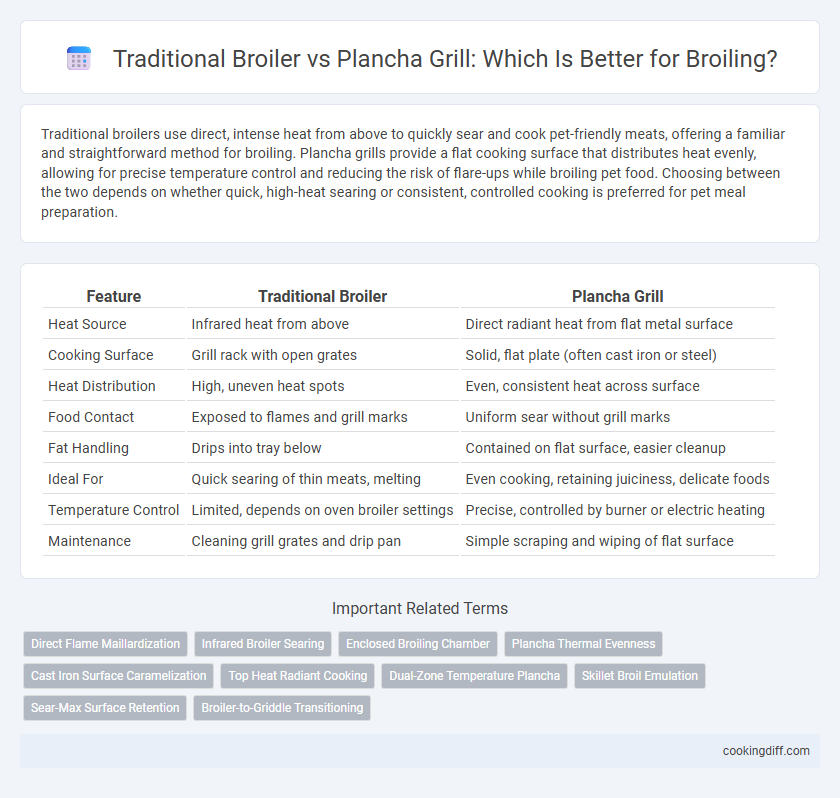 Traditional Broiler vs Plancha Grill: Which Is Better for Broiling?