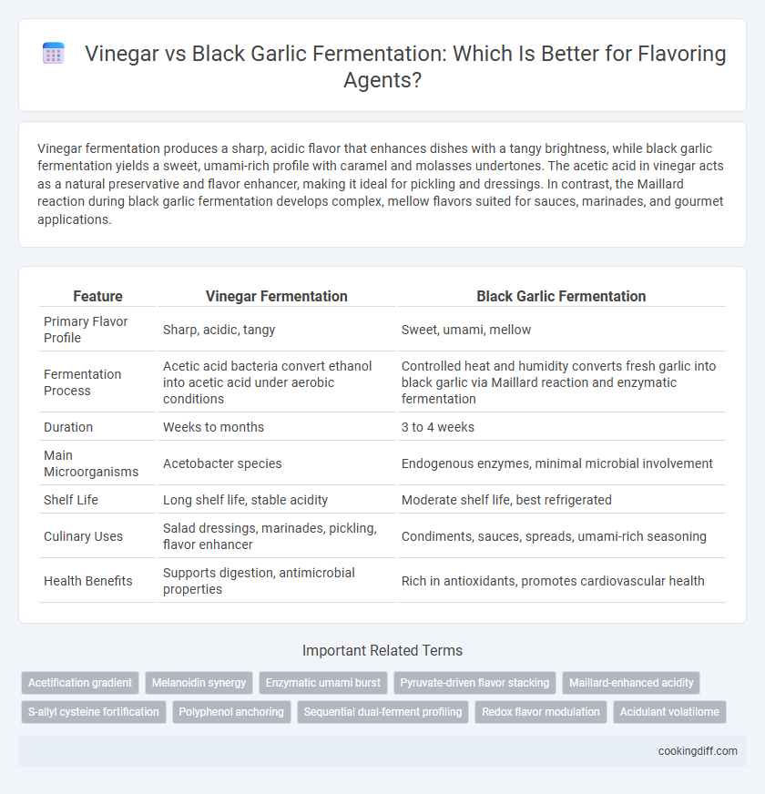Vinegar vs Black Garlic Fermentation: Which Is Better for Flavoring Agents?