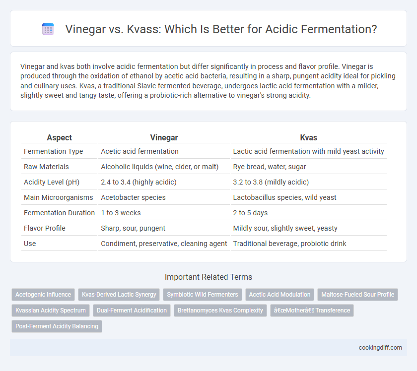 Vinegar vs. Kvass: Which Is Better for Acidic Fermentation?