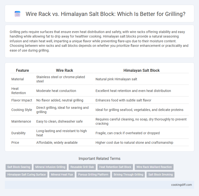 Wire Rack vs. Himalayan Salt Block: Which Is Better for Grilling?