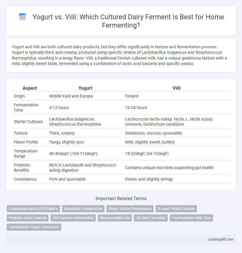 Yogurt vs. Viili: Which Cultured Dairy Ferment Is Best for Home Fermenting?